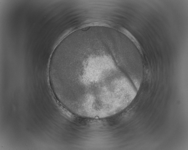 X0000073841002200609071536