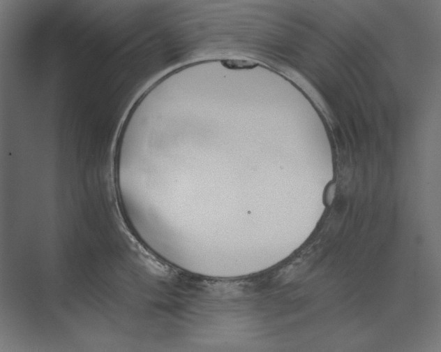 X0000073841004200609071536