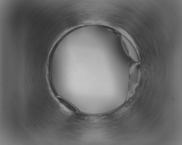 X0000073841005200609071536