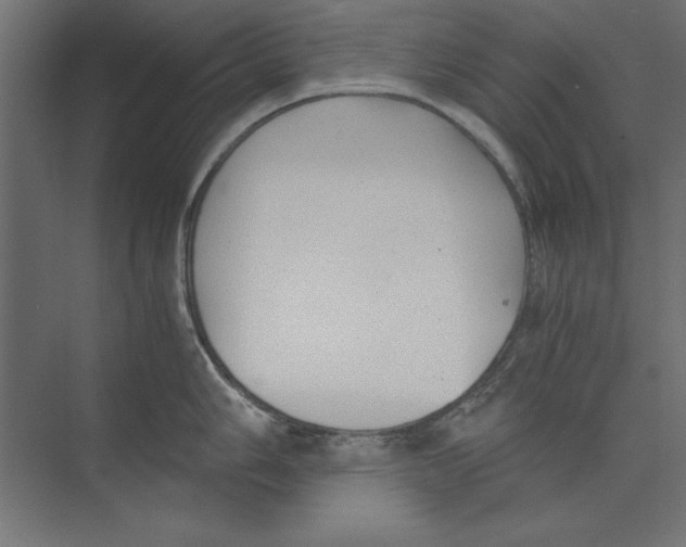 X0000073841006200609071536