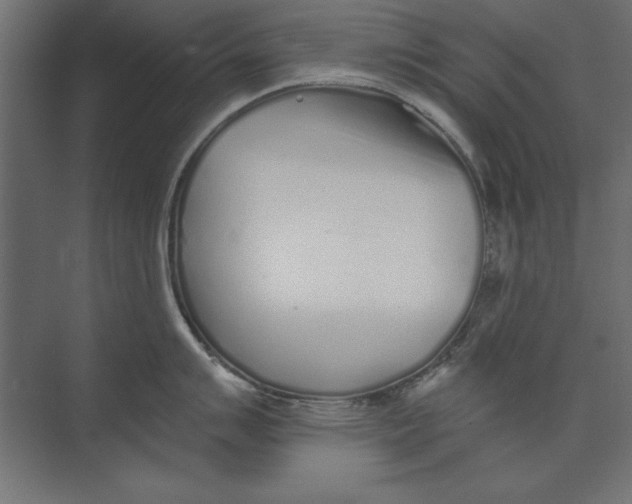 X0000073841007200609071536