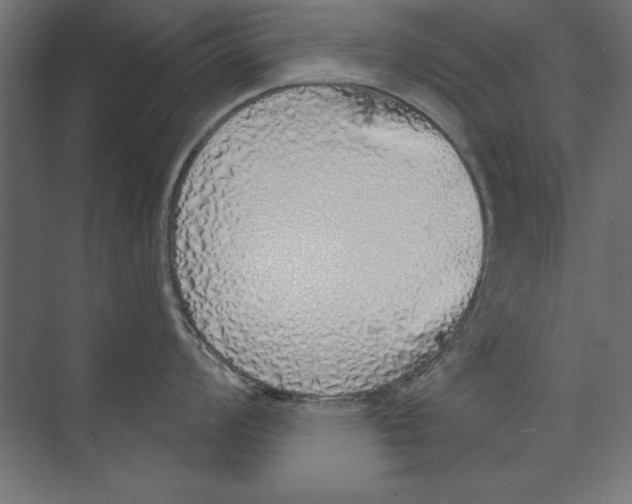 X0000073841008200609071536