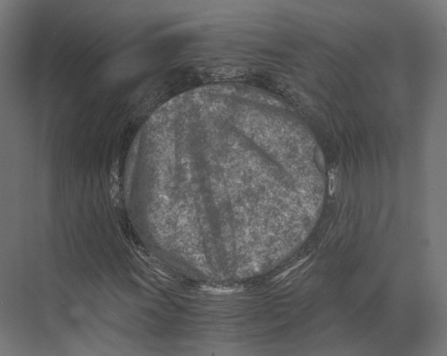 X0000073841011200609071535