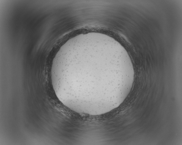 X0000073841016200609071535