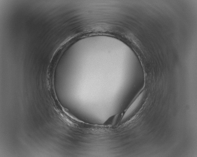 X0000073841018200609071535