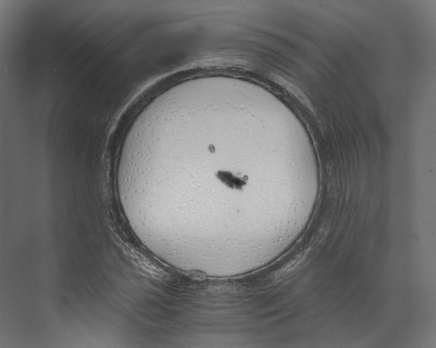 X0000073841021200609071535