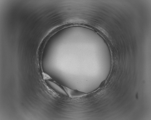 X0000073841022200609071535