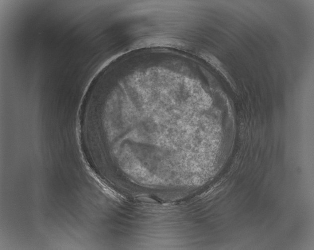 X0000073841024200609071535