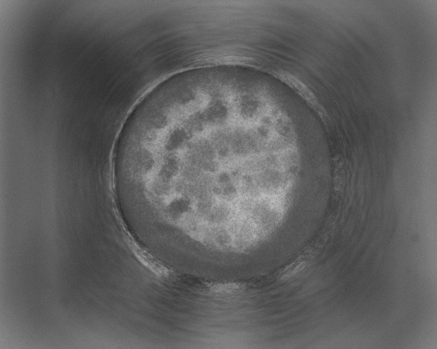 X0000073841031200609071535