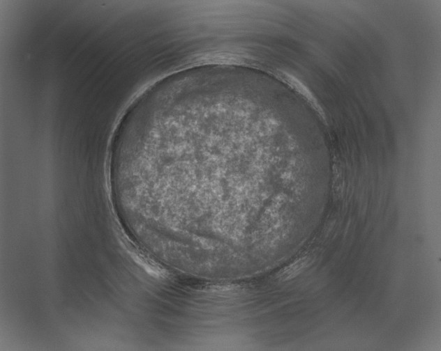 X0000073841035200609071536