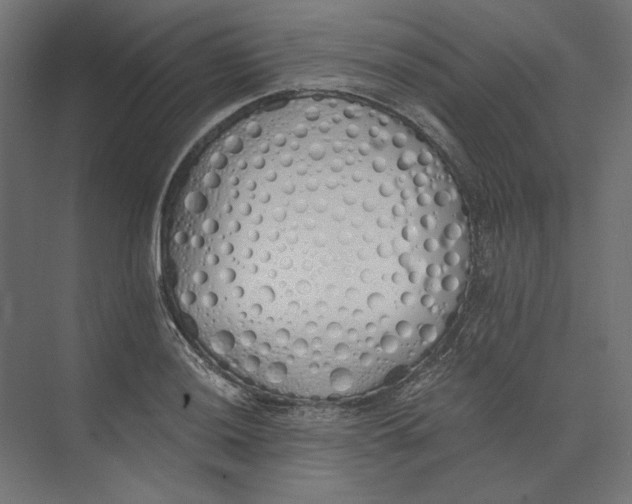 X0000073841036200609071536