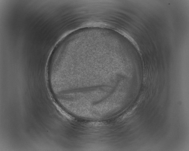 X0000073841037200609071536