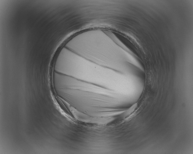 X0000073841038200609071536