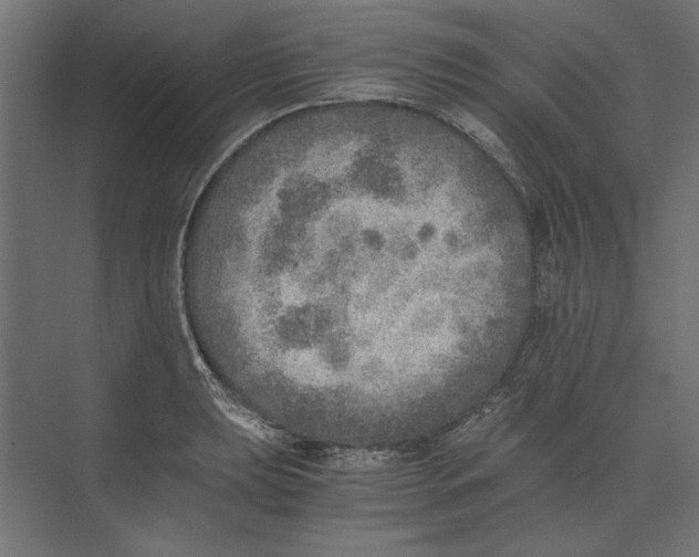 X0000073841039200609071536