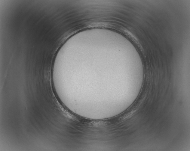 X0000073841041200609071536