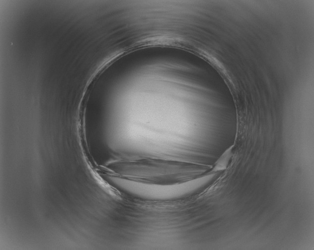 X0000073841042200609071536