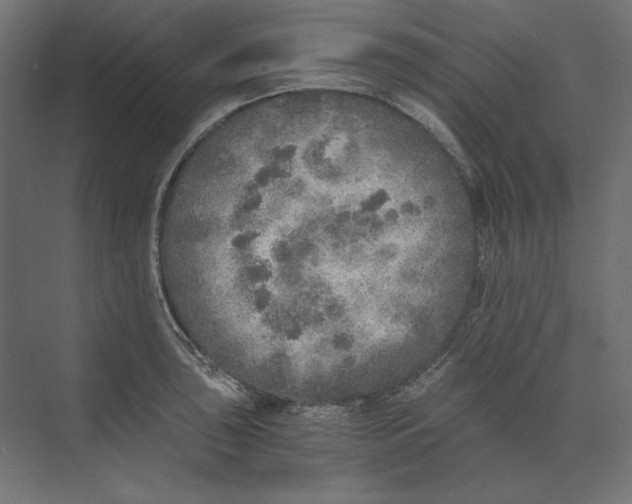 X0000073841043200609071536