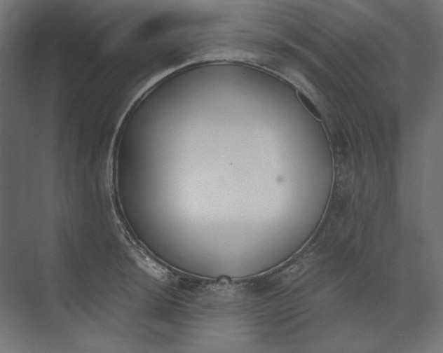 X0000073841044200609071536