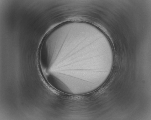 X0000073841045200609071536