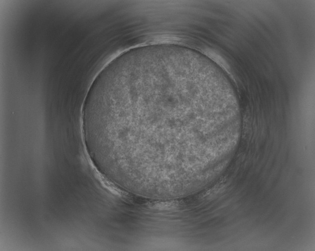 X0000073841047200609071536