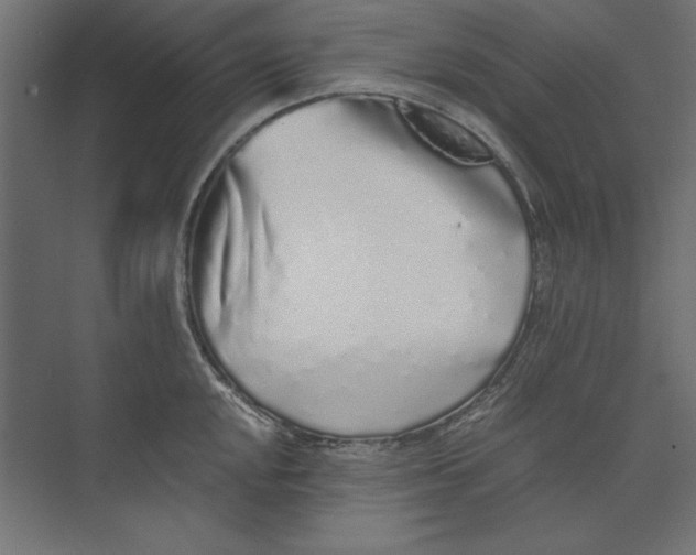 X0000073841048200609071536