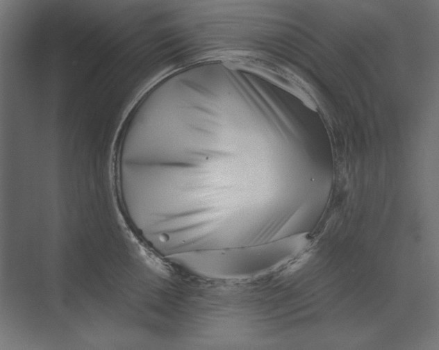 X0000073841050200609071536