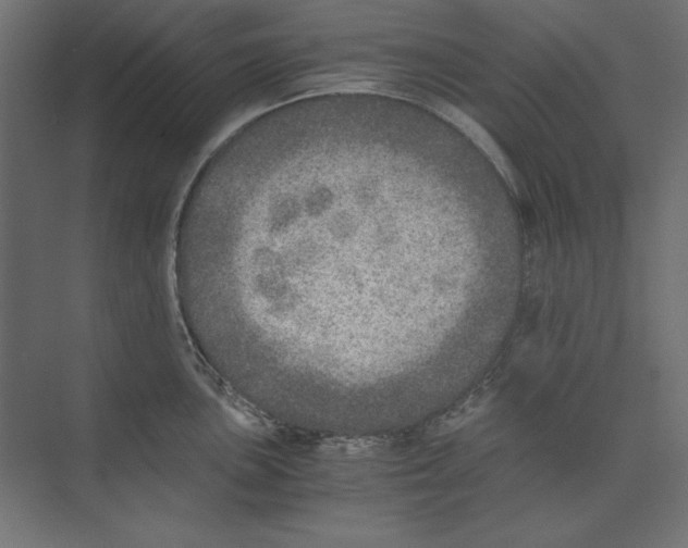 X0000073841051200609071536