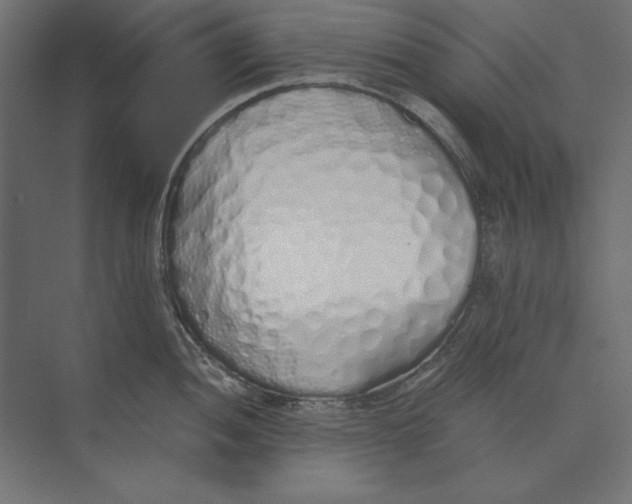 X0000073841052200609071536