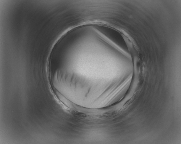 X0000073841054200609071536