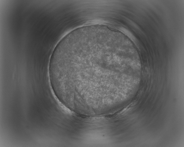 X0000073841055200609071536