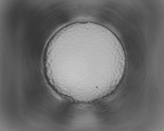 X0000073841056200609071536