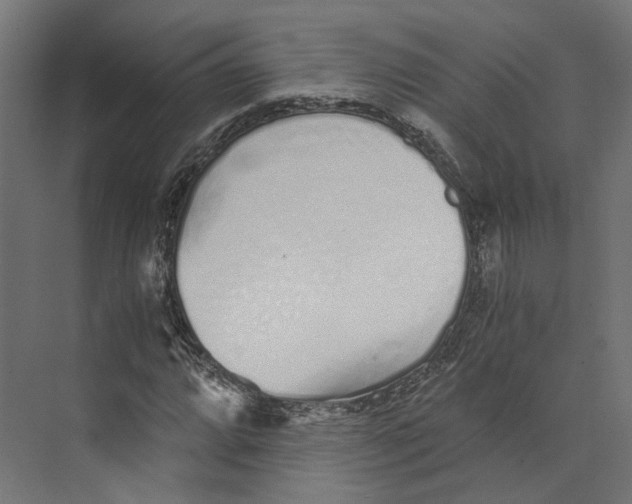 X0000073841064200609071535