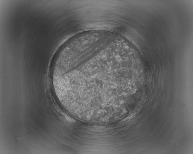 X0000073841071200609071535