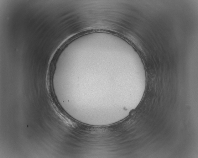 X0000073841076200609071535