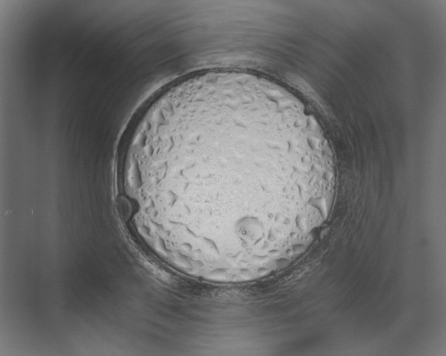 X0000073841079200609071535