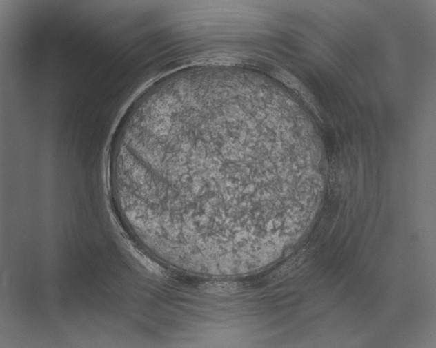 X0000073841083200609071535