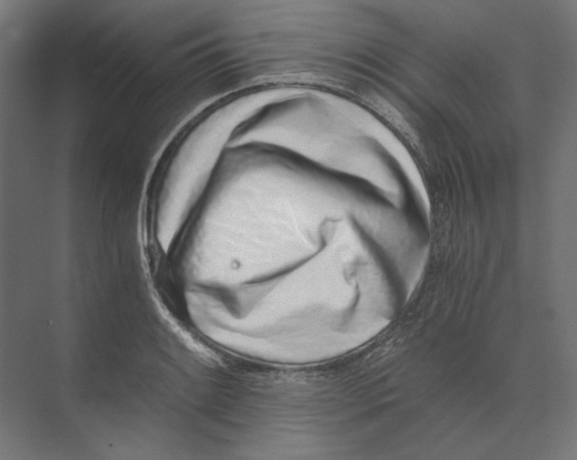 X0000073841084200609071535