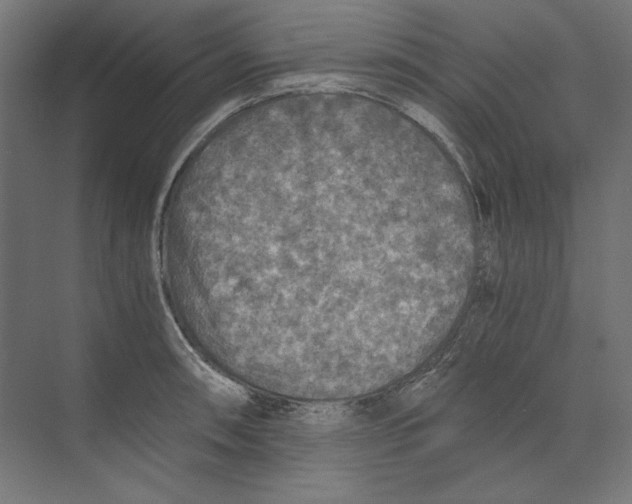 X0000073841090200609071534