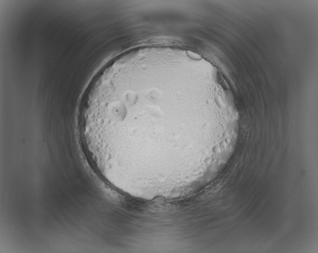 X0000073841091200609071534