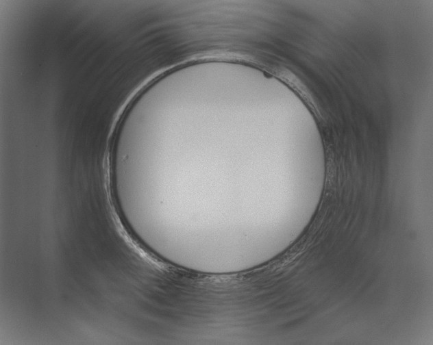 X0000073841092200609071534