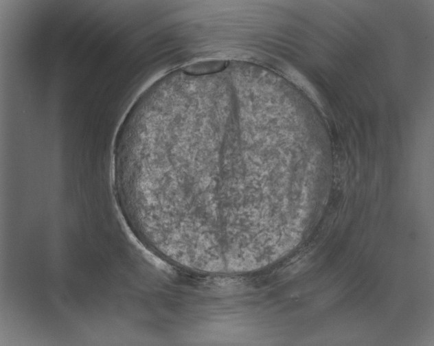 X0000073841095200609071534