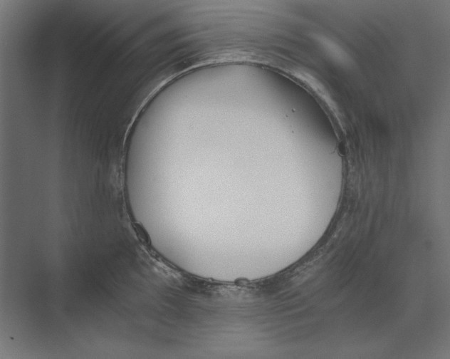 X0000073841097200609071534