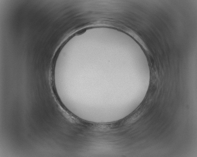 X0000073841101200609071534