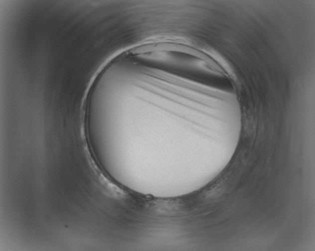 X0000073841102200609071534