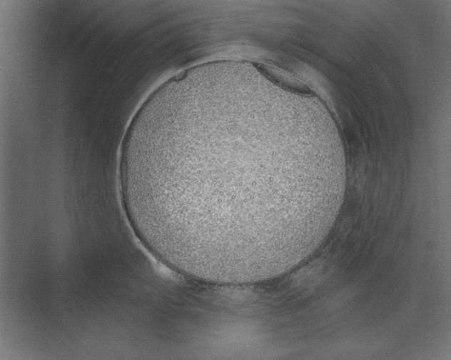 X0000073841103200609071534