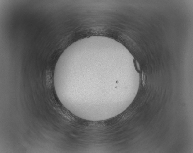 X0000073841107200609071533