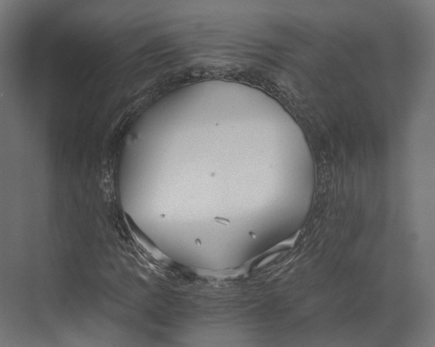 X0000073841109200609071534