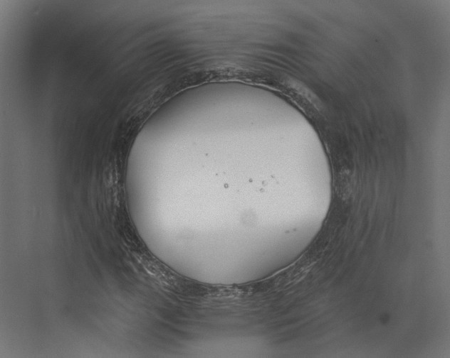 X0000073841111200609071534