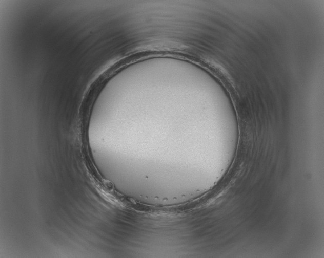 X0000073841114200609071534