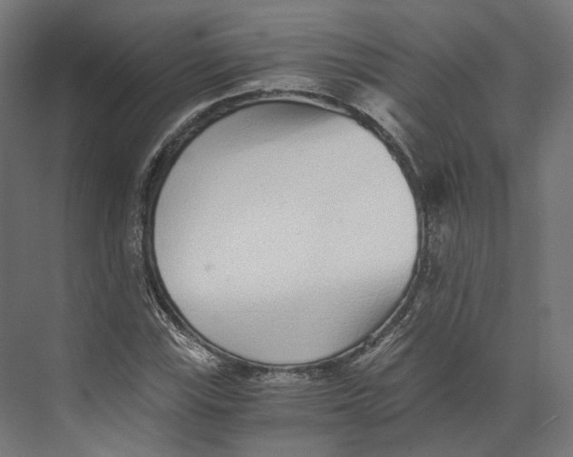 X0000073841115200609071534